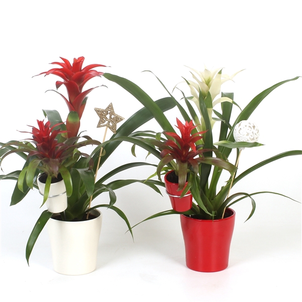 <h4>Moeder en kind rood wit keramiek +kerststeker</h4>