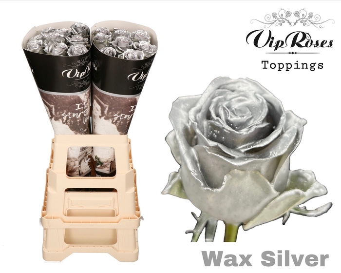 <h4>R GR WAX SILVER x30 (998)</h4>