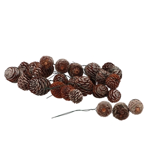 Pick Nature Leuc Murri Streng P/30