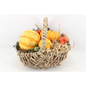 arr4 Sierfruit MB - Tasmand x4