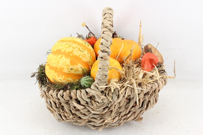 <h4>arr4 Sierfruit MB - Tasmand x4</h4>