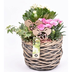 Wilg mand grijs 18cm