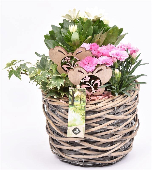 <h4>Wilg mand grijs 18cm</h4>