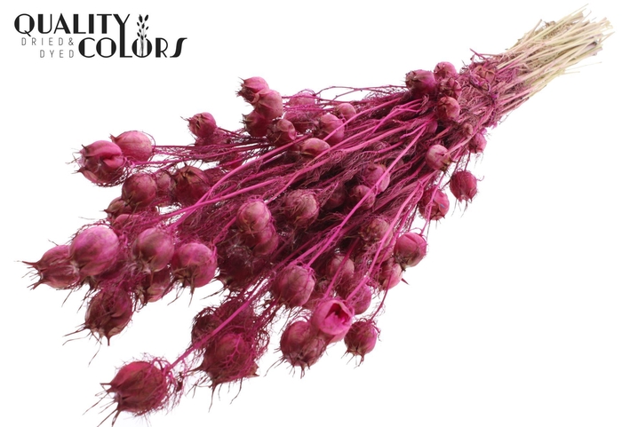<h4>Droogbloemen   ...bewerkt H%</h4>