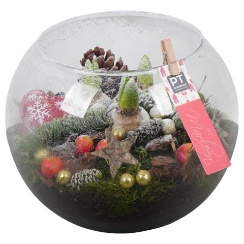 <h4>Opm Pt PTHCH6770 X-mas Glas Vissenkom</h4>