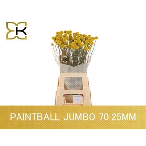 Cras Paintball Jumbo
