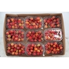 MALUS RED SENTIN BOX