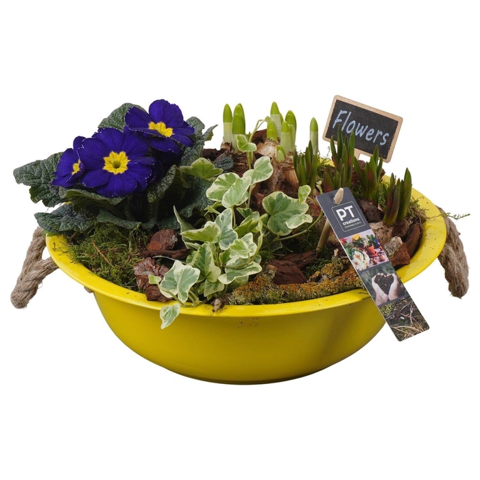 <h4>Arr. Tuinplanten L%</h4>