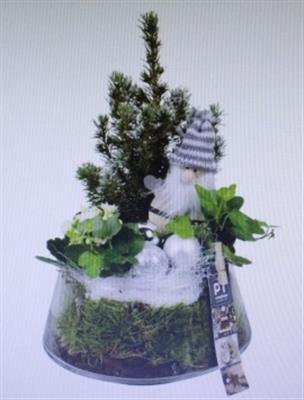 <h4>4403 UFO WIT GNOOM</h4>