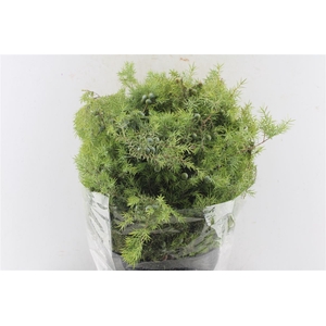 Jeneverbes 400 Gram