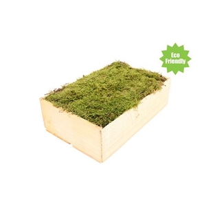 MOS PLATMOS ( HOUT )