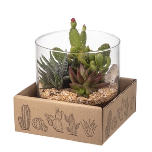 TERRARIUM STYLE COMPOSITION IN GLASS CYLINDER Ø15 HEIGHT 15 CM IN CARDBOARD BOX CM15X15