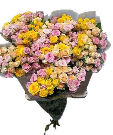 <h4>R Tr Gemengd In Bos</h4>