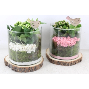 arr2 PL - Hout schijf cilinder - roze/wit