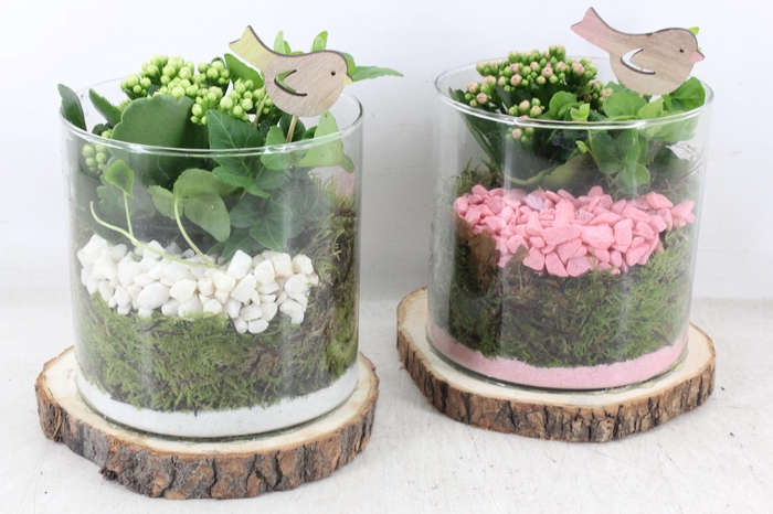 <h4>arr2 PL - Hout schijf cilinder - roze/wit</h4>