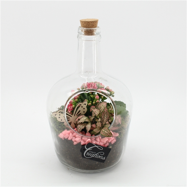 <h4>ESCR-2504RZ Essentials terrarium</h4>