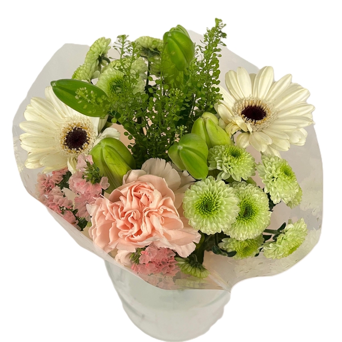 <h4>Bq Volume Voltage Salmon S</h4>