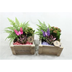 4074 HOUT VK INDOOR