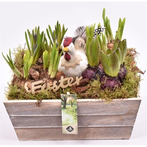 Hout Schaal 26x25xhoog 10cm