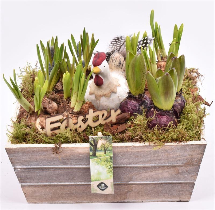 <h4>Hout Schaal 26x25xhoog 10cm</h4>