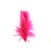 Sacuara Cerise