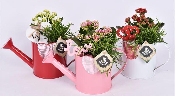 <h4>Zink gieter mix hart 10cm</h4>