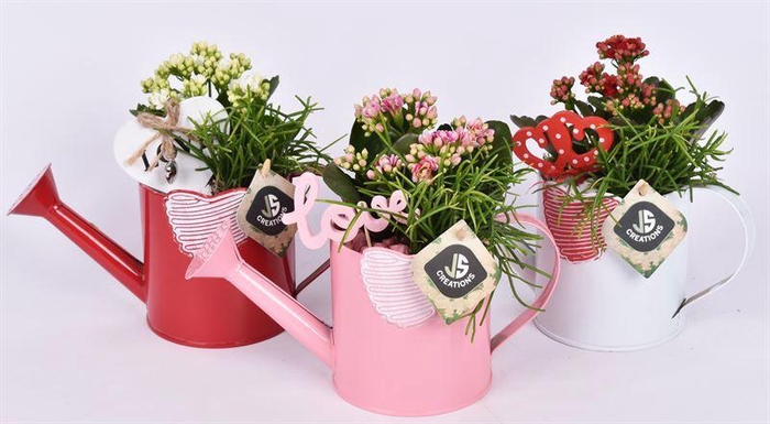 <h4>Zink gieter mix hart 10cm</h4>