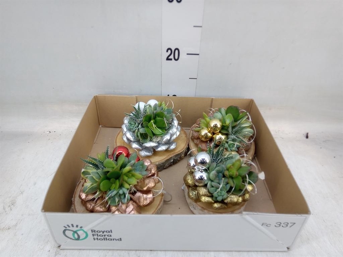 <h4>Arr. Kerst L%</h4>