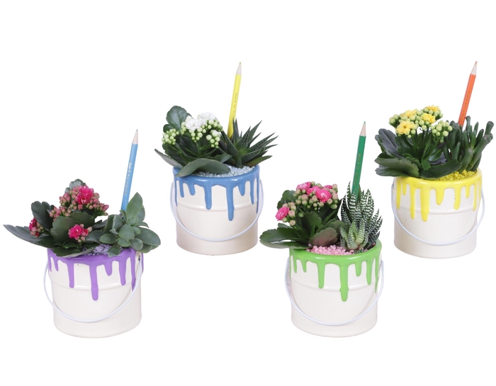 <h4>Thank you Teacher Arr. Succulent Ceramic Pot Painting Can Ø10cm</h4>