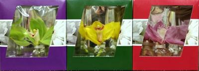 <h4>CYMBIPAK X12 NEUTRAA</h4>
