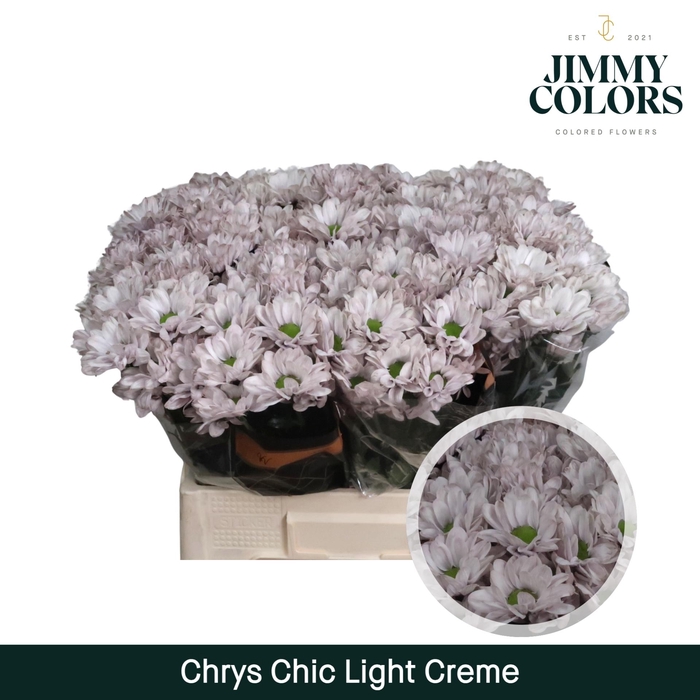 <h4>Chrys tros Chic Light creme</h4>