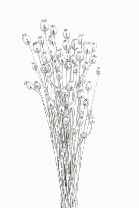 <h4>Dried Papaver Silver Bunch</h4>