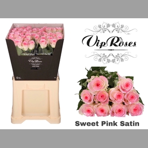 R GR SWEET PINK SATIN