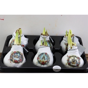 HIPP WAXED CHRISTMAS x6