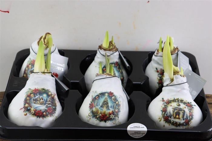 <h4>HIPP WAXED CHRISTMAS x6</h4>