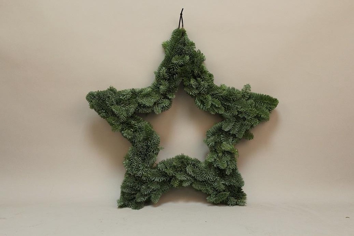 <h4>Ster vorm open beide zijde Nobilis 120cm</h4>