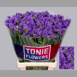 LIM S CRYST DARK BLU