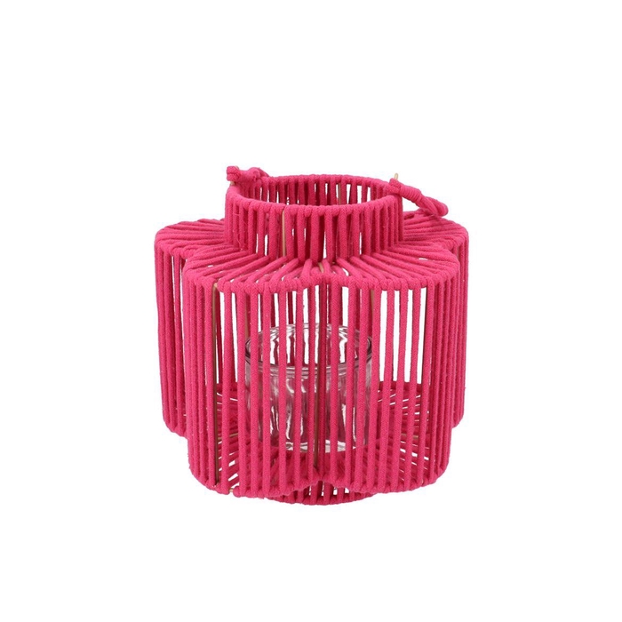 <h4>Cruz Fuchsia Lantern Flower Long 12x23x24cm</h4>