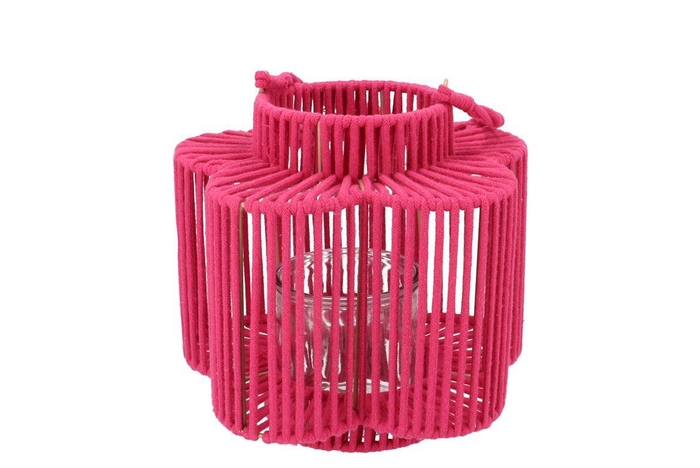 <h4>Cruz Fuchsia Lantern Flower Long 12x23x24cm</h4>