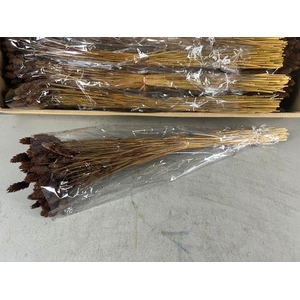 Df Phalaris Bs Brown 100g