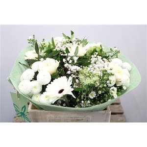 Gem Boe Middel Wit 25 Stelen Vers