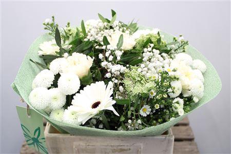 <h4>Gem Boe Middel Wit 25 Stelen Vers</h4>