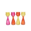 Bicolore Dutch Orange Mix Tulip Vase Ass 7x18cm