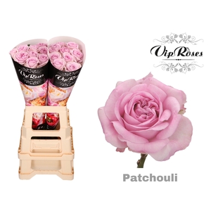 R GR PATCHOULI