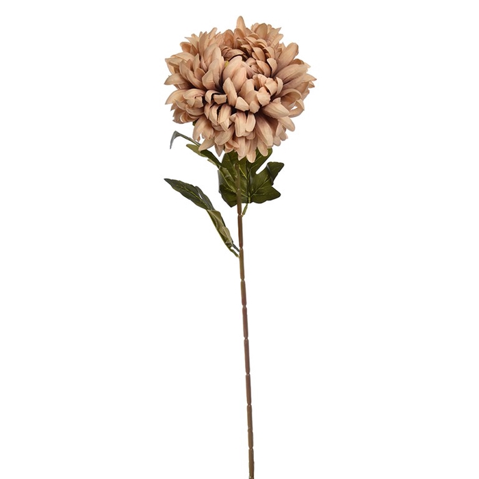 <h4>Large ball mum d20xh73cm brown</h4>