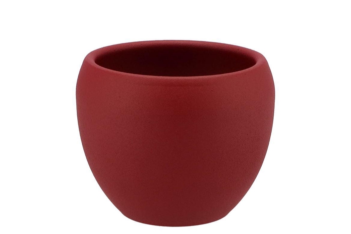 <h4>Vinci Red Velvet Flower Pot 14x11cm 2025 Nm</h4>