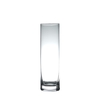 Glas Cilinder d06*20cm cc