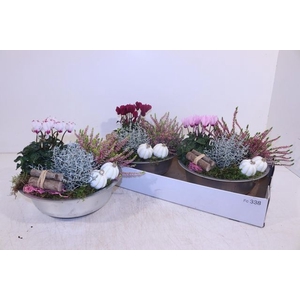 ARR GARDEN ZINC X2