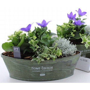 ARR TUINPLANTEN