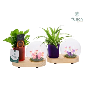 LED Lichtbal Bloemen houten planter met groene planten